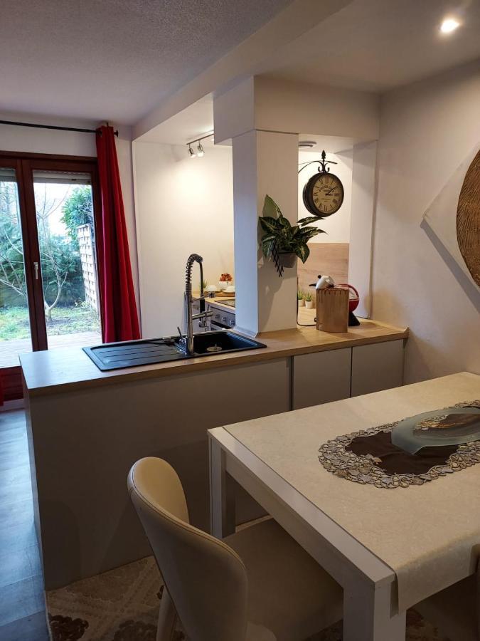 Residence Du Vieux Chateau Jardin & Parking Gratuit ミュルーズ エクステリア 写真