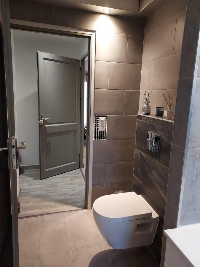 Residence Du Vieux Chateau Jardin & Parking Gratuit ミュルーズ エクステリア 写真