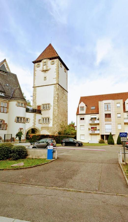 Residence Du Vieux Chateau Jardin & Parking Gratuit ミュルーズ エクステリア 写真