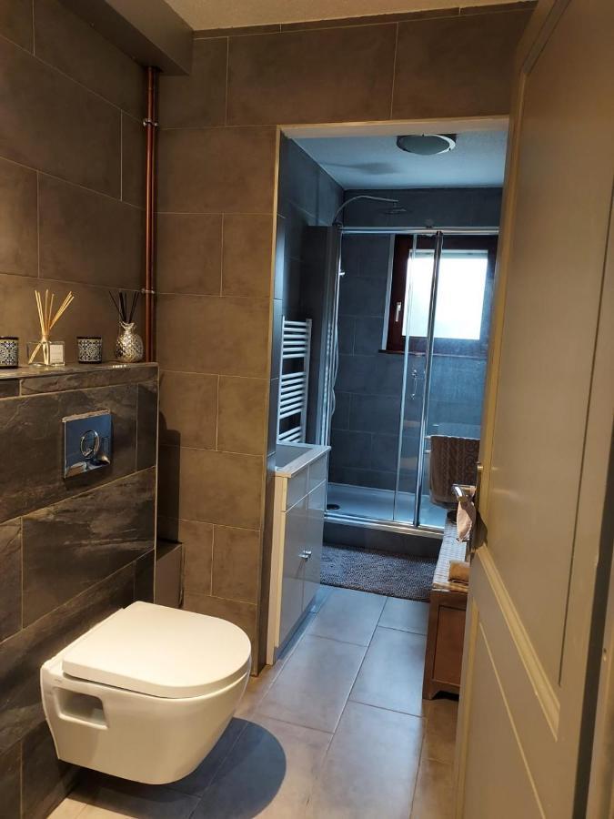 Residence Du Vieux Chateau Jardin & Parking Gratuit ミュルーズ エクステリア 写真