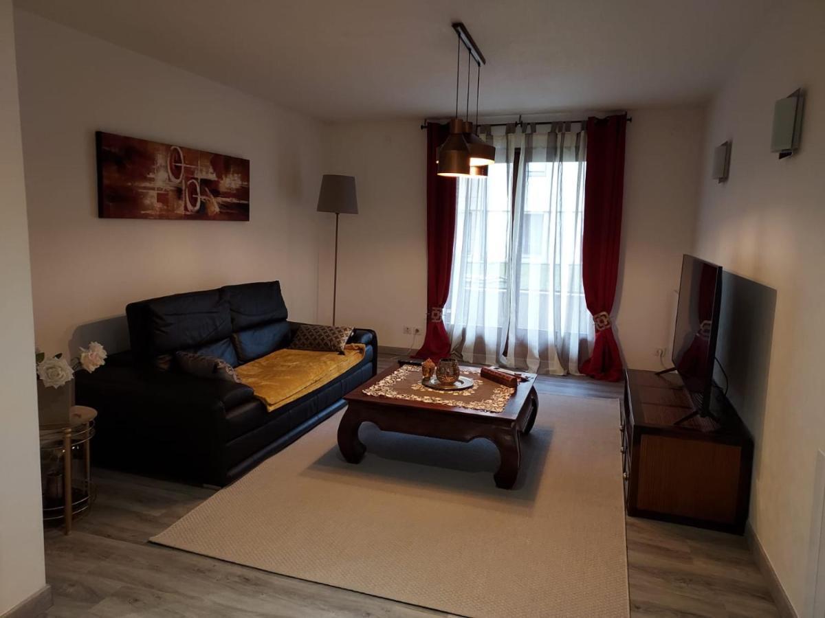 Residence Du Vieux Chateau Jardin & Parking Gratuit ミュルーズ エクステリア 写真