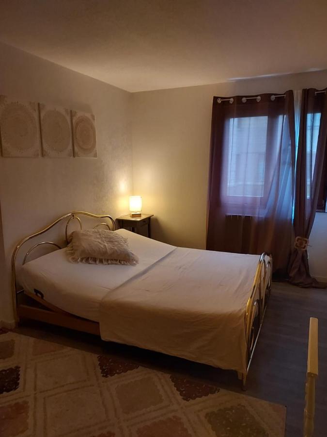 Residence Du Vieux Chateau Jardin & Parking Gratuit ミュルーズ エクステリア 写真