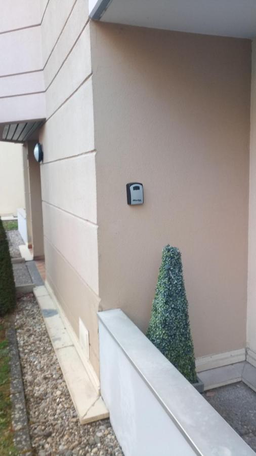 Residence Du Vieux Chateau Jardin & Parking Gratuit ミュルーズ エクステリア 写真