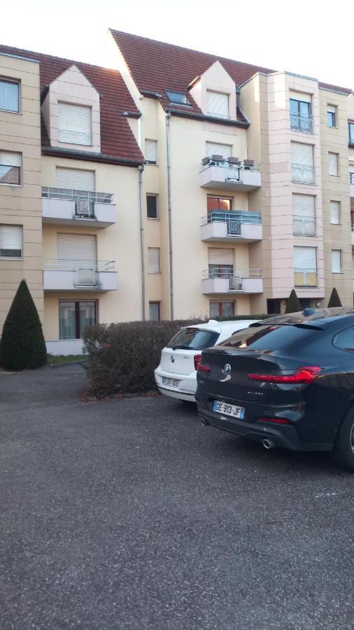 Residence Du Vieux Chateau Jardin & Parking Gratuit ミュルーズ エクステリア 写真